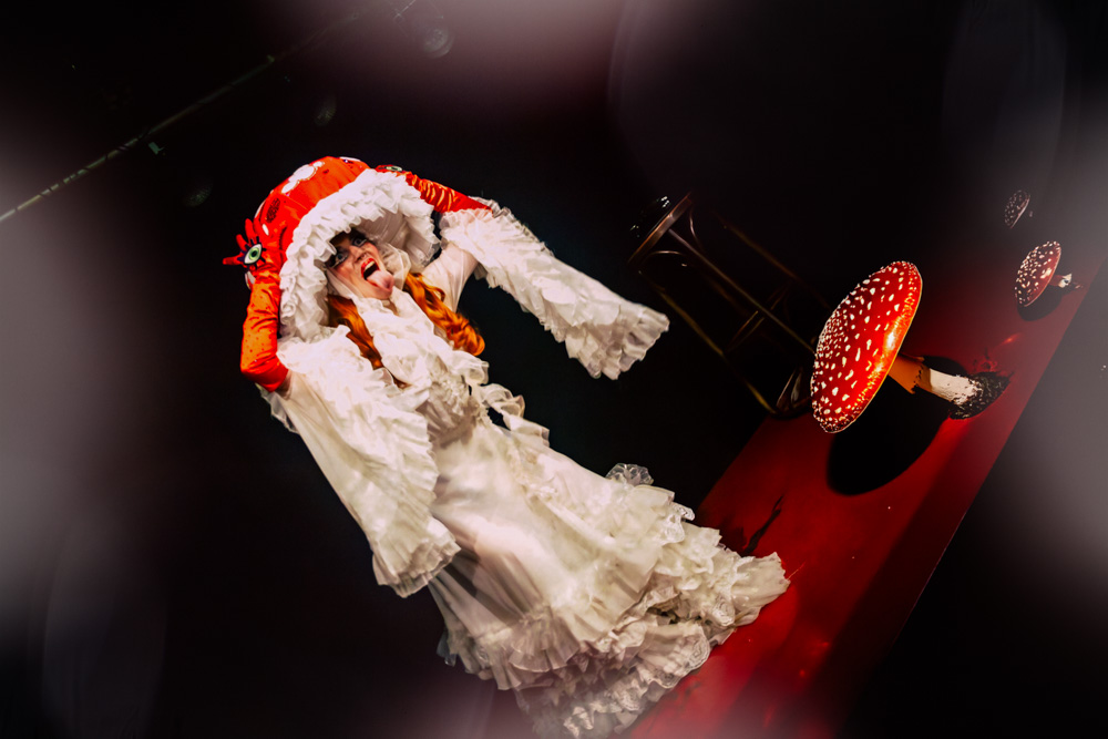 burlesque_32 𝑴𝒂𝒔𝒉𝒂 𝑪𝒉𝒂𝒎𝒑𝒂𝒏𝒔𝒌𝒂𝒚𝒂 als Fliegenpilz bei einer Burlesque-Performance beim Cabaret Vertigo in der Schwulen Sau Hannover