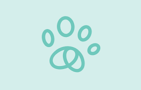 Minimalistisches Pfotenklee-Logo in Türkis auf hellem Hintergrund für Tierfotografie und Gutscheine.